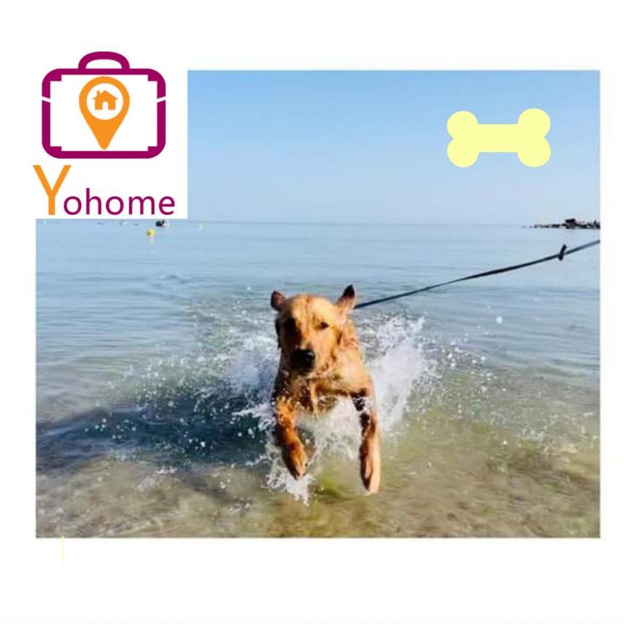 Zara D'Amare A Pesaro 10 Metri Dalla Spiaggia By Yohome Ngoại thất bức ảnh